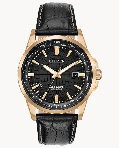 Citizen World Time Perpetual Eco Drive Black Dial Watch CITIZEN